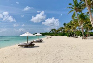 Regeringens coronapas skal kickstarte flybranchen (foto: Kenneth Karskov)