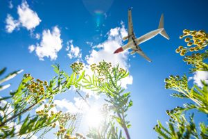 Jorgen-Syversen-Norwegian