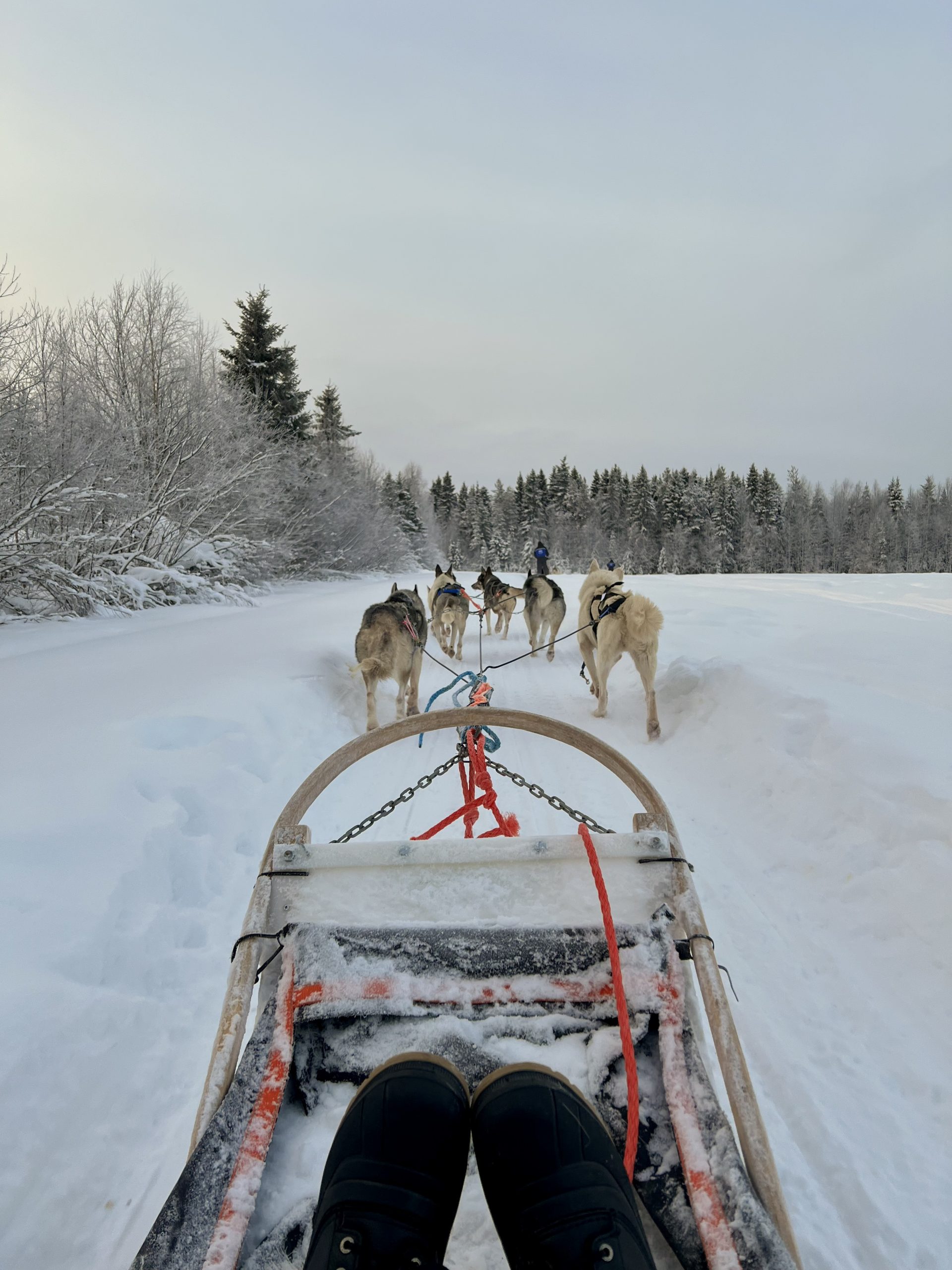Flere Finnair fly til Lapland – hele året