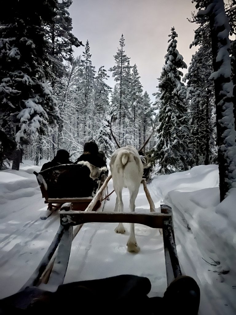 En rensdyrkanetur er en romantisk måde at opleve den nordiske vinter på (foto: Kenneth Karskov)