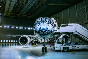 Air Astana Sneleopard Embraer E190