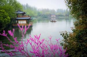 Qatar Airways til HANGZHOU